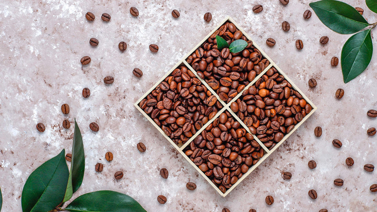 Kaffeebohnen in geteiltem Quadrat-Holzkasten auf Marmortisch, dekoriert mit grünen Blättern, Nahaufnahme für Kaffee-Liebhaber