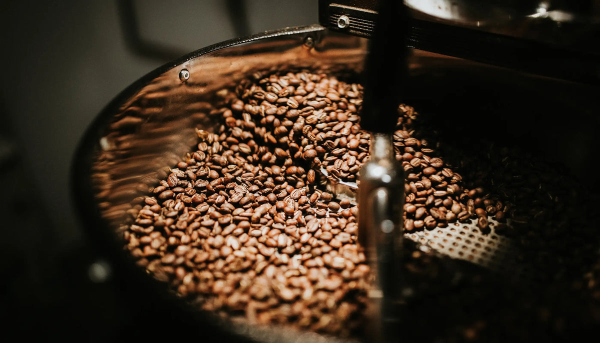 Frisch geröstete Kaffeebohnen in einem Röster, beleuchtet durch warmes Licht. Ein Metallarm bewegt die Bohnen gleichmäßig.