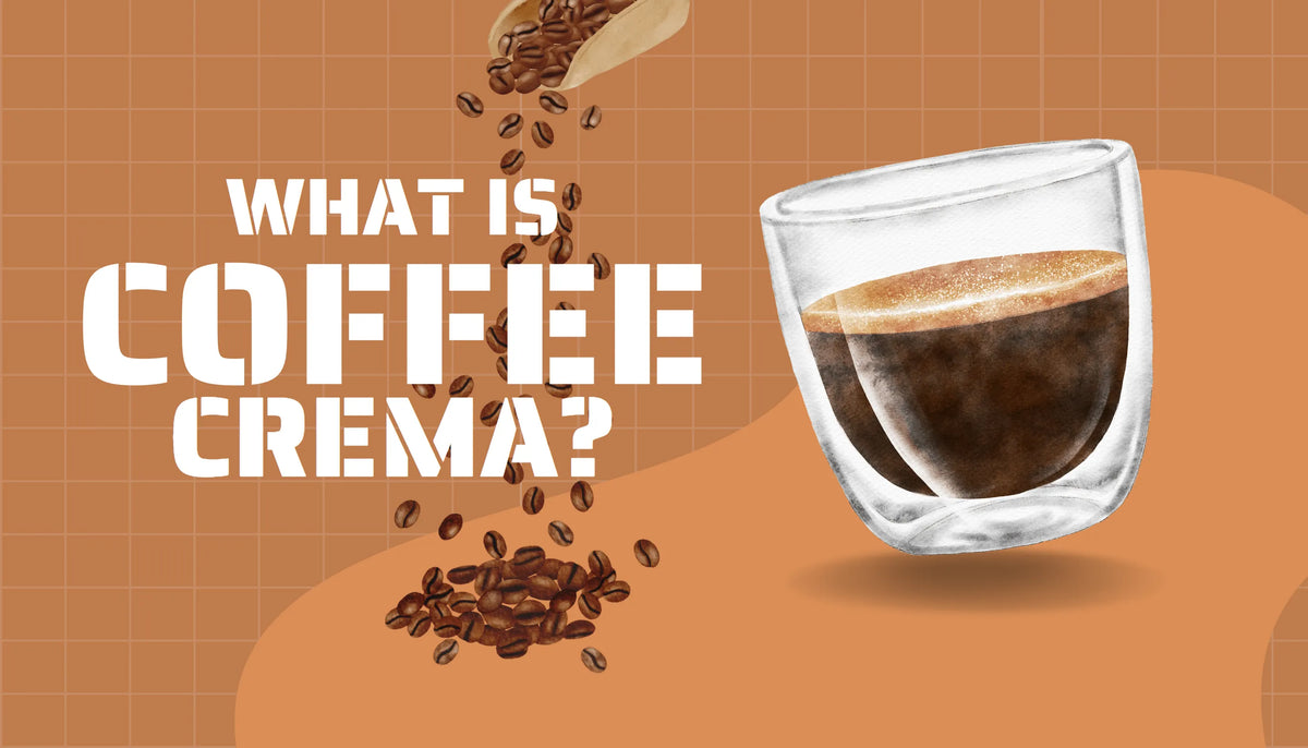 Kaffee-Bild mit orangefarbenem Hintergrund, zeigt ein Glas Espresso mit Crema. Überschrift: „WHAT IS COFFEE CREMA?“